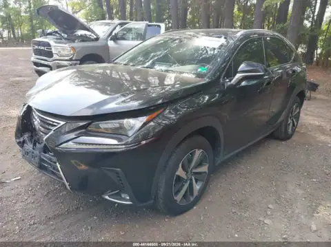 JTJGARDZXM2240592 — 2021 Lexus NX, photo 2 from IAAI, Front end