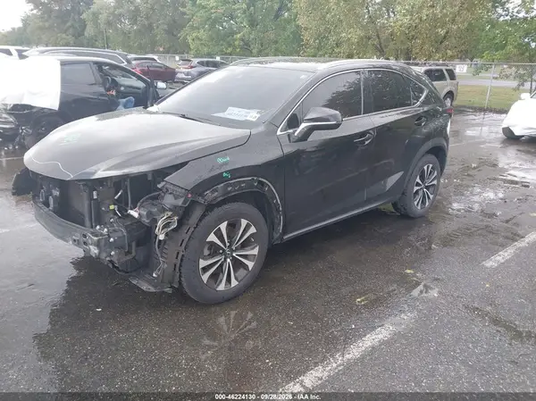 JTJSARDZ7M2239765 — 2021 Lexus NX, photo 2 from IAAI, Front end