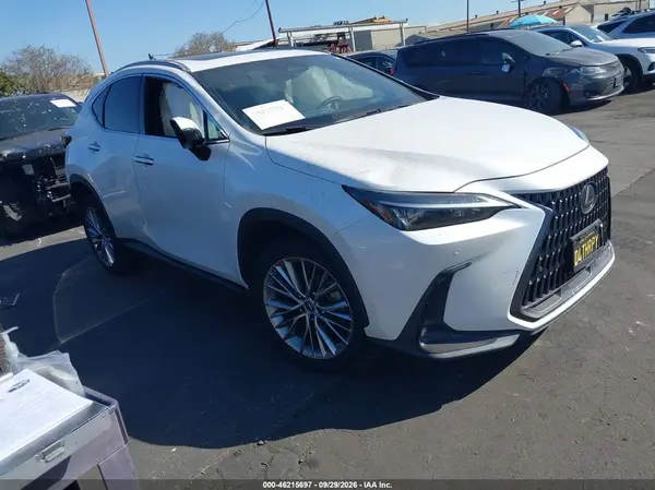 2T2GKCEZ8PC015083 Lexus NX 2023 — повреждение Левый и правый бока, фото до ремонта