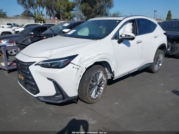 2T2GKCEZ8PC015083 — 2023 Lexus NX, фото 2 с аукциона IAAI, Левый и правый бока