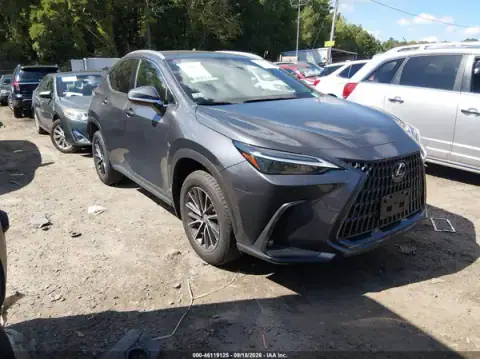 2T2GGCEZ8RC059315 — 2024 Lexus NX, ЗАДНЯЯ ЧАСТЬ (Rear), фото до ремонта