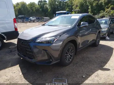 2T2GGCEZ8RC059315 — 2024 Lexus NX, zdjęcie 2 z IAAI, Tył