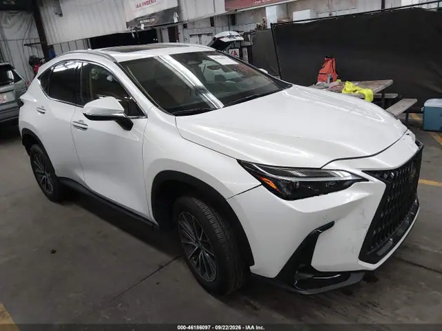 2T2ADCAZ2SC028331 — 2025 Lexus NX, Лівий бік (Left Side), фото до ремонту