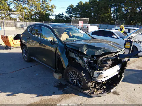 2T2GKCEZ7SC044373 — 2025 Lexus NX, Parte delantera, fotos antes de reparar