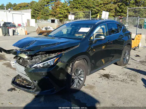 2T2GKCEZ7SC044373 — 2025 Lexus NX, photo 2 from IAAI, Front end