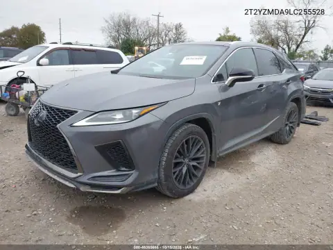 2T2YZMDA9LC255528 — 2020 Lexus RX, фото 3 с аукциона IAAI, ЗАДНЯЯ ЧАСТЬ