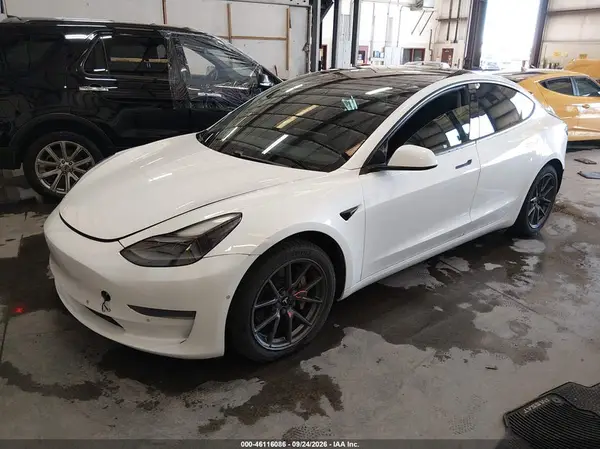 5YJ3E1EB1MF938983 — 2021 Tesla Model 3, photo 2 from IAAI, Rear end