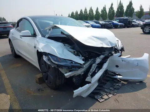 LRW3E7FA0RC101894 — 2024 Tesla Model 3, Front end (Front), before-repair photos
