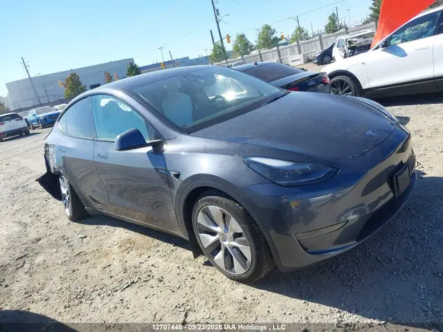 5YJYGDEE7MF202254 — 2021 Tesla Model Y Long Range, Right side (Right Side), before-repair photos