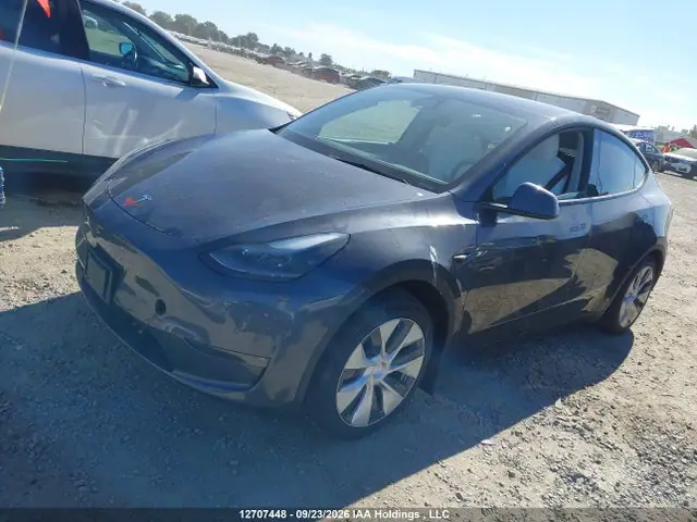 5YJYGDEE7MF202254 — 2021 Tesla Model Y Long Range, photo 2 from IAAI 16.10.2026, Right side