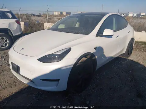 7SAYGDEE0RF212246 — 2024 Tesla Model Y Long Range, zdjęcie 2 z IAAI 28.10.2026, Tył