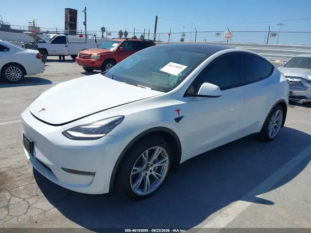 5YJYGDED3MF123395 — 2021 Tesla Model Y Standard Range, фото 2 с аукциона IAAI 30.09.2026, Правый бок
