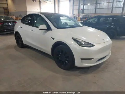 5YJYGDEE1MF182616 — 2021 Tesla Model Y, უკანა ნაწილი (Rear), ფოტოები შეკეთებამდე