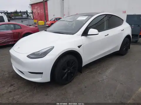 7SAYGDEE2SF251216 — 2025 Tesla Model Y, фото 2 з IAAI, Правий бік