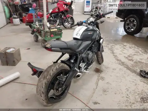 2023 Triumph Motorcycle Trident 660 VIN SMTL10UL1PTBD1803 фото 5