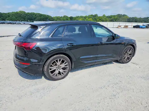 WA1VABGE5MB038148 — 2021 Audi E-Tron, zdjęcie 3 z Аукцион 28.10.2026, Tył