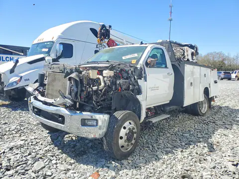 1HTKJPVM4PH394241 — 2023 Chev Silverado, გვერდითი ნაწილი (Side), ფოტოები შეკეთებამდე
