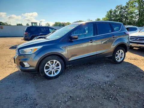 1FMCU9GD3HUA01903 — 2017 Ford Escape, Механічні пошкодження (Mechanical), фото до ремонту