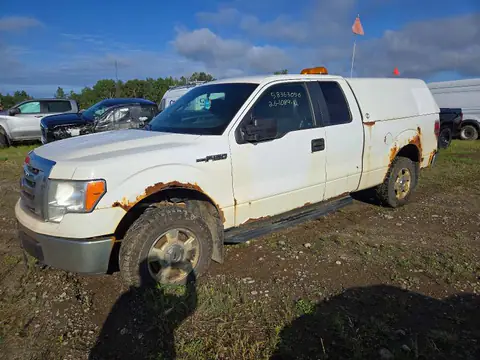 2012 FORD F150 VIN 1FTFX1EFXCFB75771 фото 1