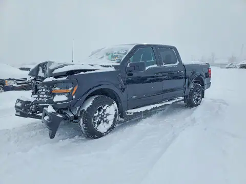 1FTEW2LP7SFA55411 — 2025 Ford F150, წინა ნაწილი (Front End), ფოტოები შეკეთებამდე