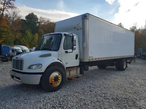 3ALACWFC8KDKD0301 — 2019 Freightliner M2, Мелкие вмятины i царапины (Minor Dent/Scratches), zdjęć przed naprawą