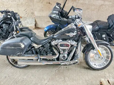 5HD1YGK39MB011819 — 2021 Harley-Davidson Flfbs, ЗАДНЯЯ ЧАСТЬ (Rear End), фото до ремонта