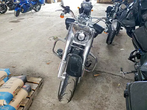 5HD1YGK39MB011819 — 2021 Harley-Davidson Flfbs, ფოტო 2, Аукцион 06.10.2026, უკანა ნაწილი
