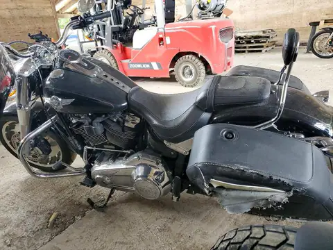 5HD1YGK39MB011819 — 2021 Harley-Davidson Flfbs, ფოტო 3, Аукцион 06.10.2026, უკანა ნაწილი