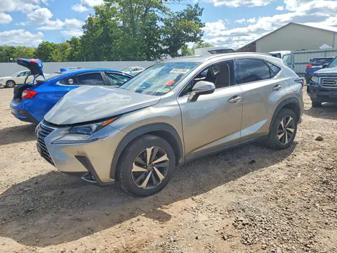 JTJGARDZ8M5031902 — 2021 Lexus NX 300, Parte delantera (Front End), fotos antes de reparar