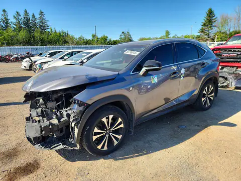 JTJBARBZ4K2196700 — 2019 Lexus NX, ПЕРЕДНЯЯ ЧАСТЬ (Front End), фото до ремонта